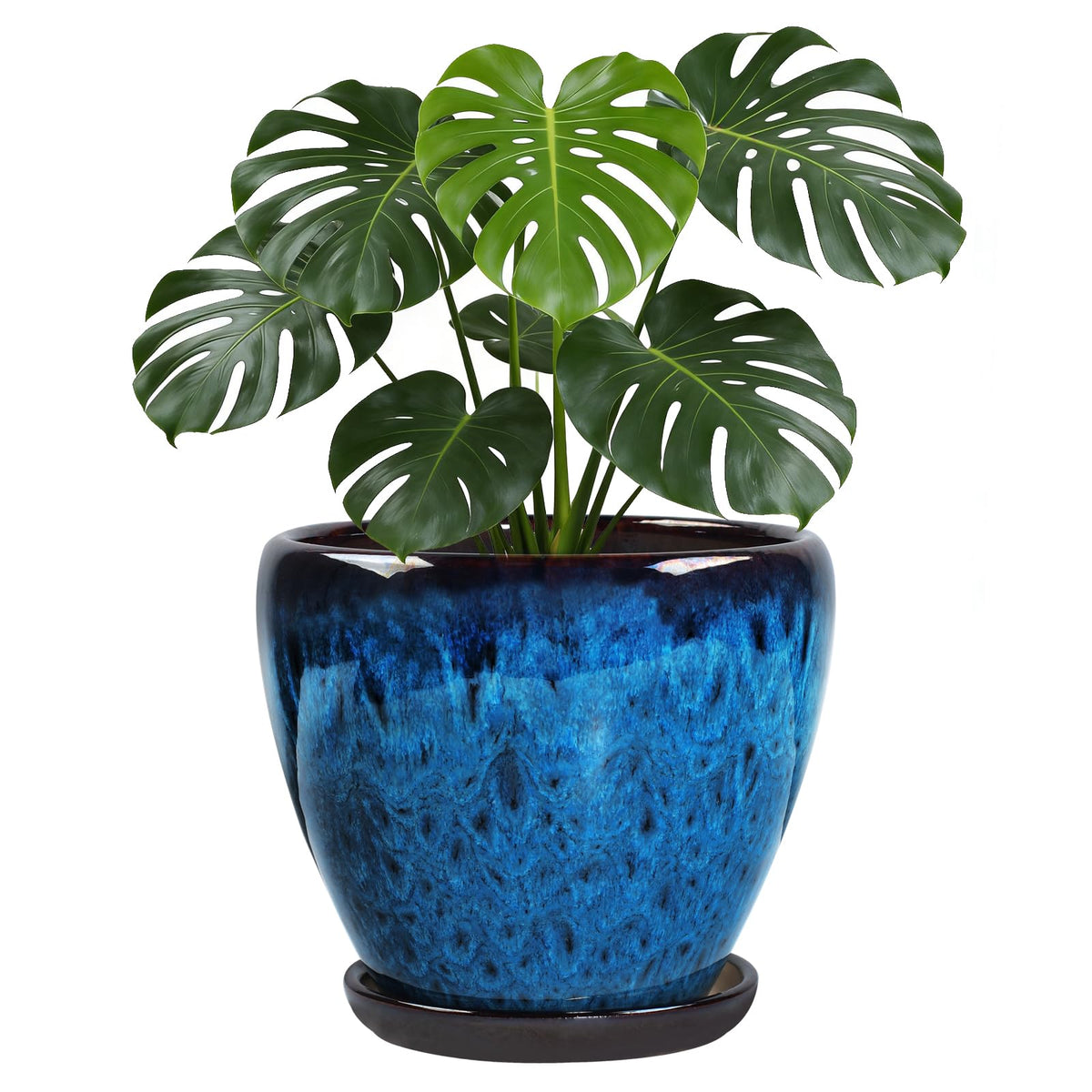 Xoogifae front view of peacock blue ceramic planter showing elegant shape and appeal