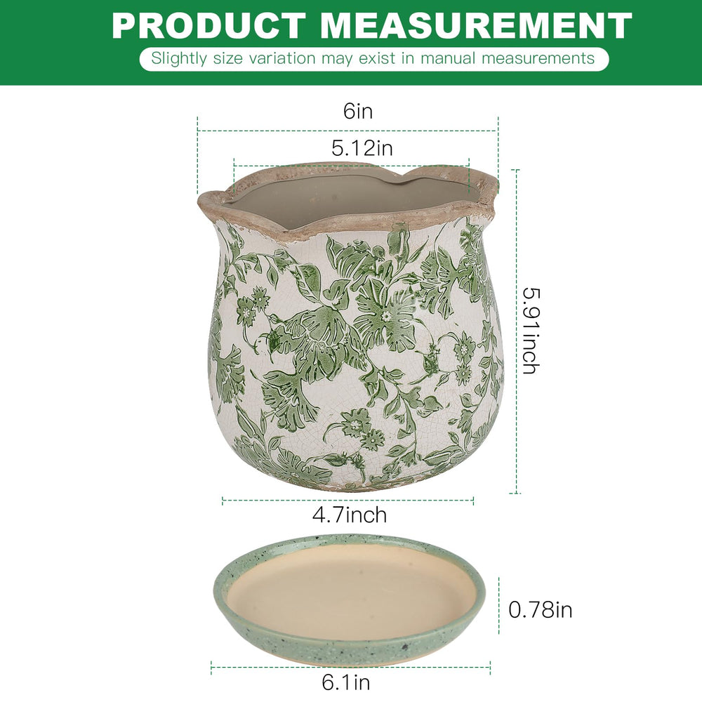 Xoogifae drainage hole with removable saucer keeping surfaces clean and dry