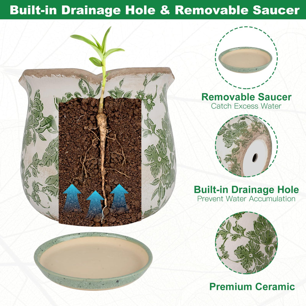 Xoogifae mesh pad and clear riser detail preserving soil and improving airflow