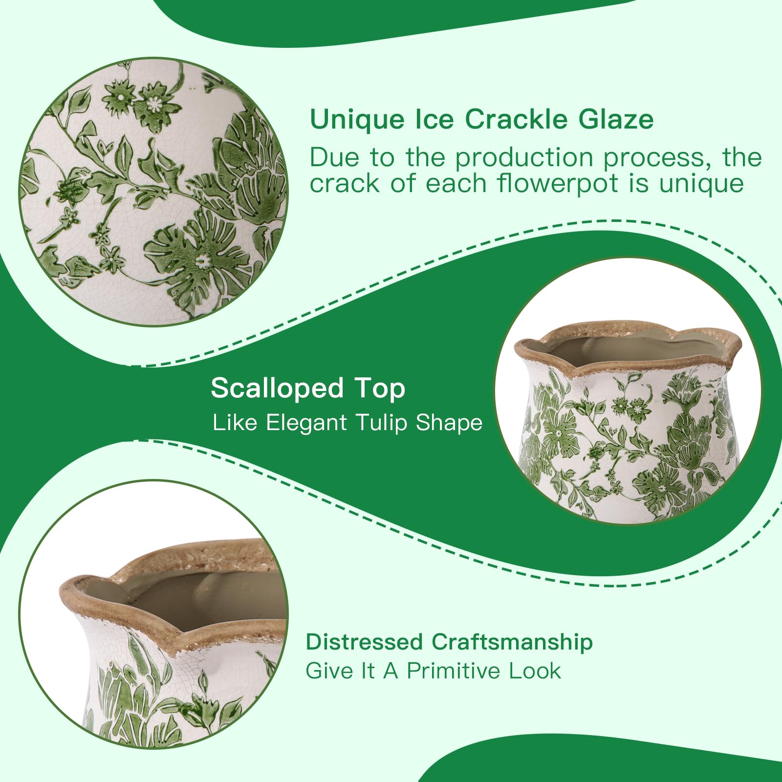 Xoogifae styled on a coffee table adding rustic charm and greenery to room