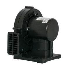 XPOWER BR-6 inflating yard decoration demonstrating steady airflow performance