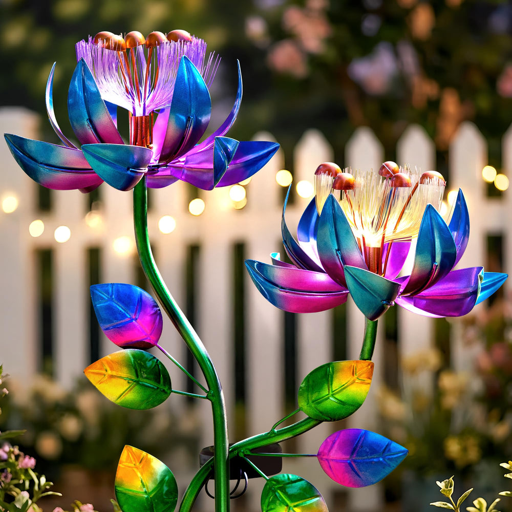 XPSCOCO evening patio display creating whimsical outdoor lighting