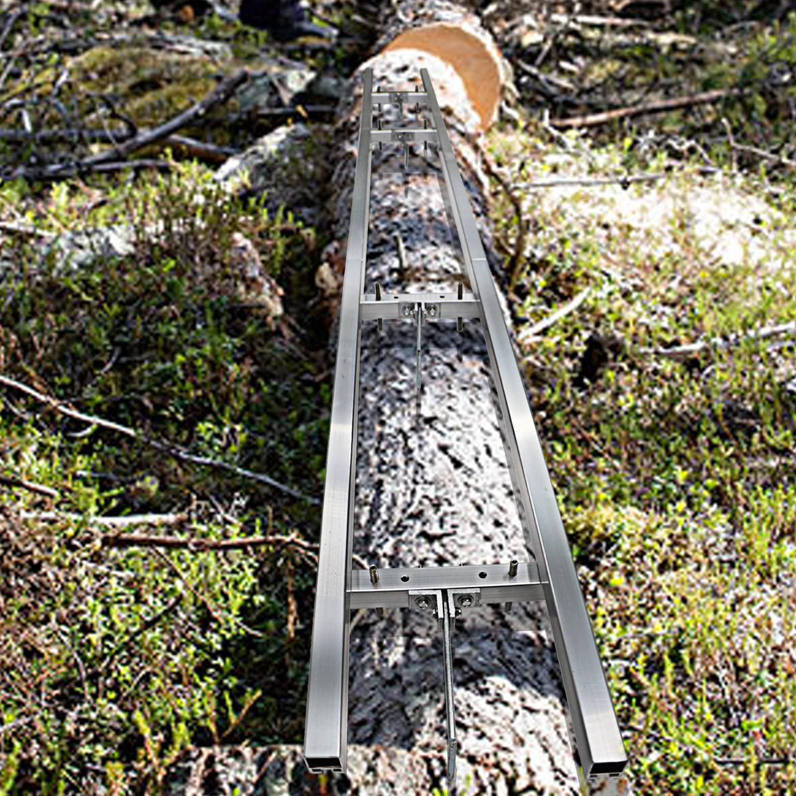 XSLOER freshly cut slab showing smooth first face and usable lumber benefit