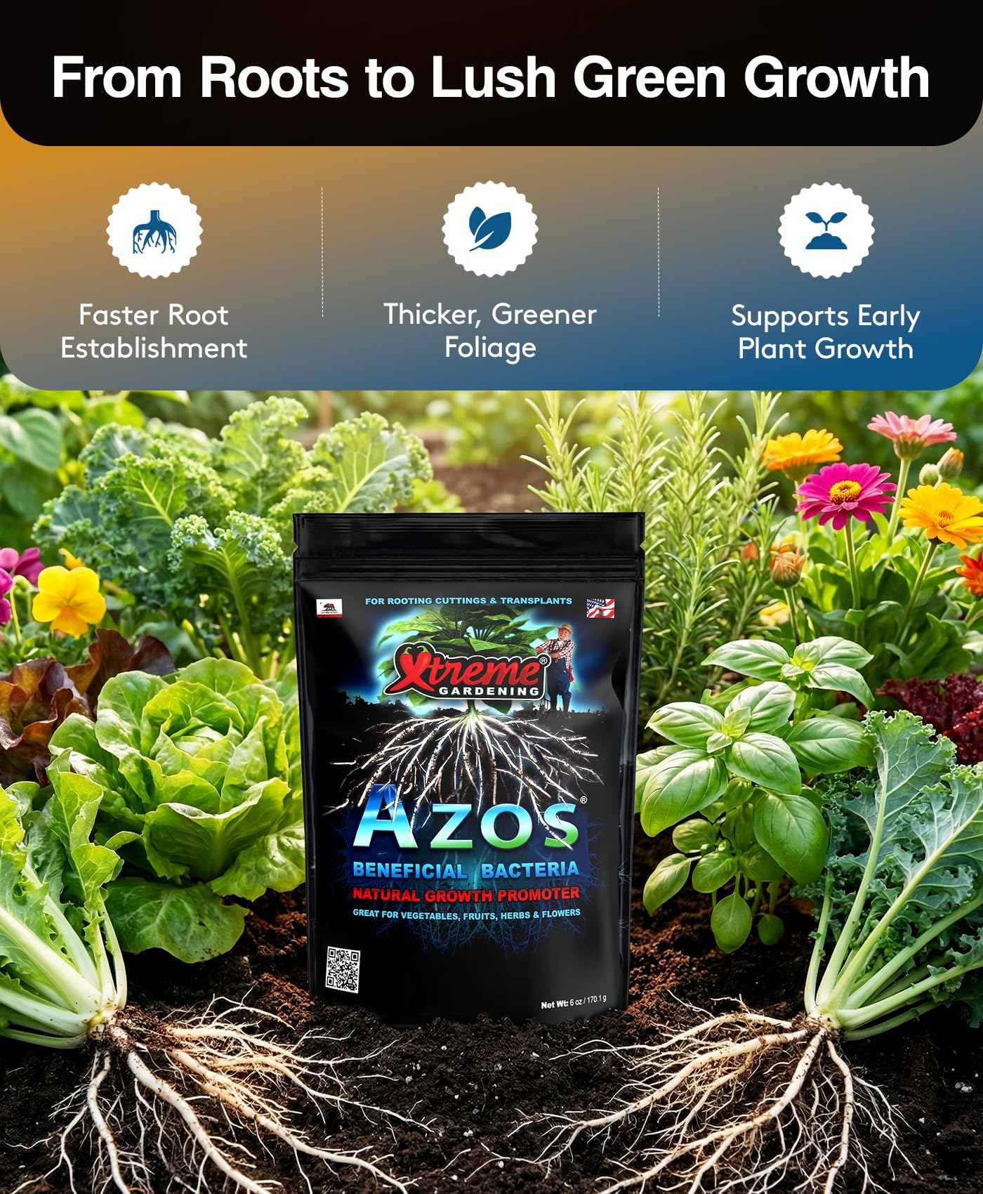 Xtreme Gardening Azos being poured as a root-dip showing easy application benefit