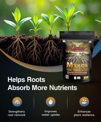 Xtreme Gardening Mykos powder texture close-up illustrating mixability benefit