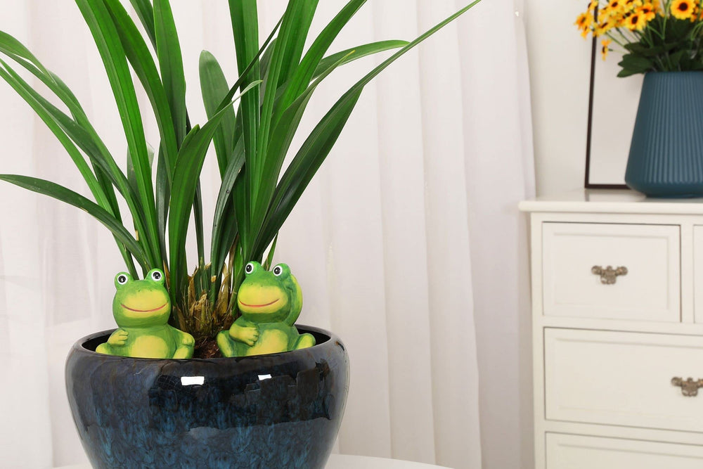 XueshouRT four-pack arranged on shelf demonstrating multiple pots watered at once