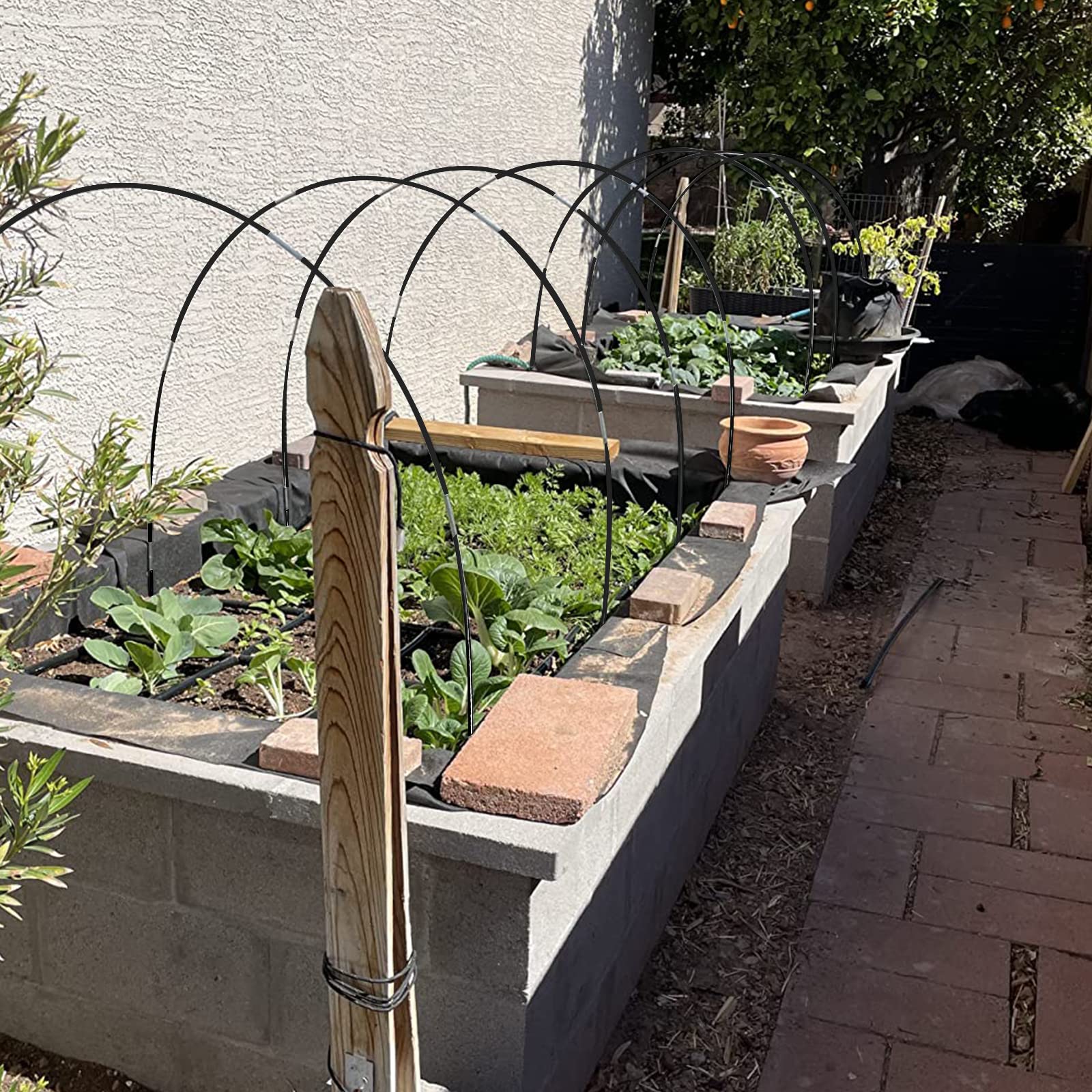 Xuwzenkl hoops in a container garden showing space-efficient scale