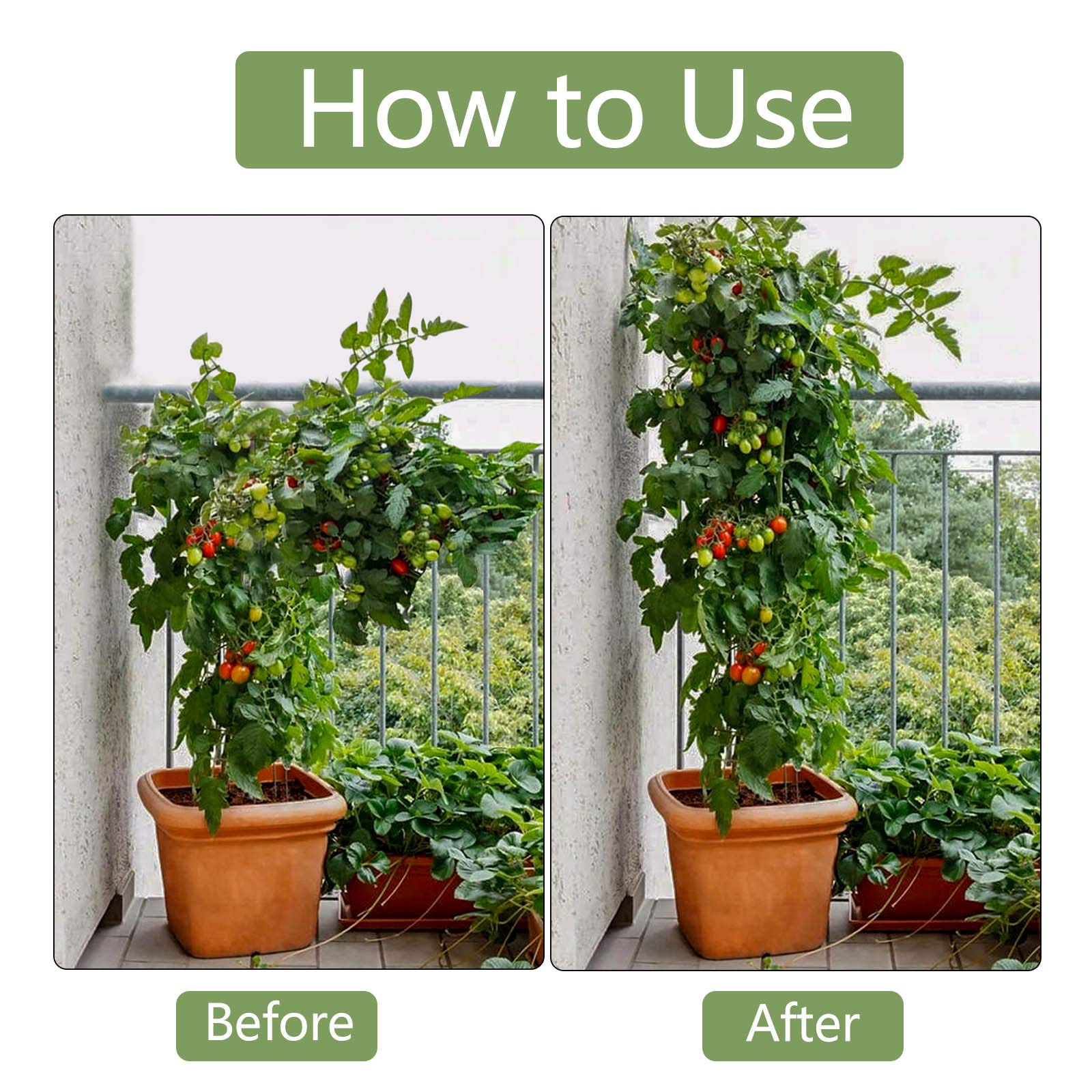 Xuwzenkl stakes supporting tomato plants demonstrating reliable vertical support