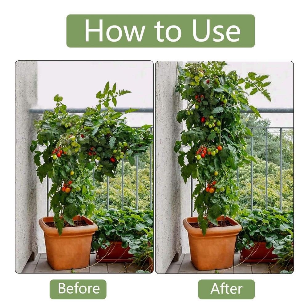 Xuwzenkl stakes supporting tomato plants demonstrating reliable vertical support