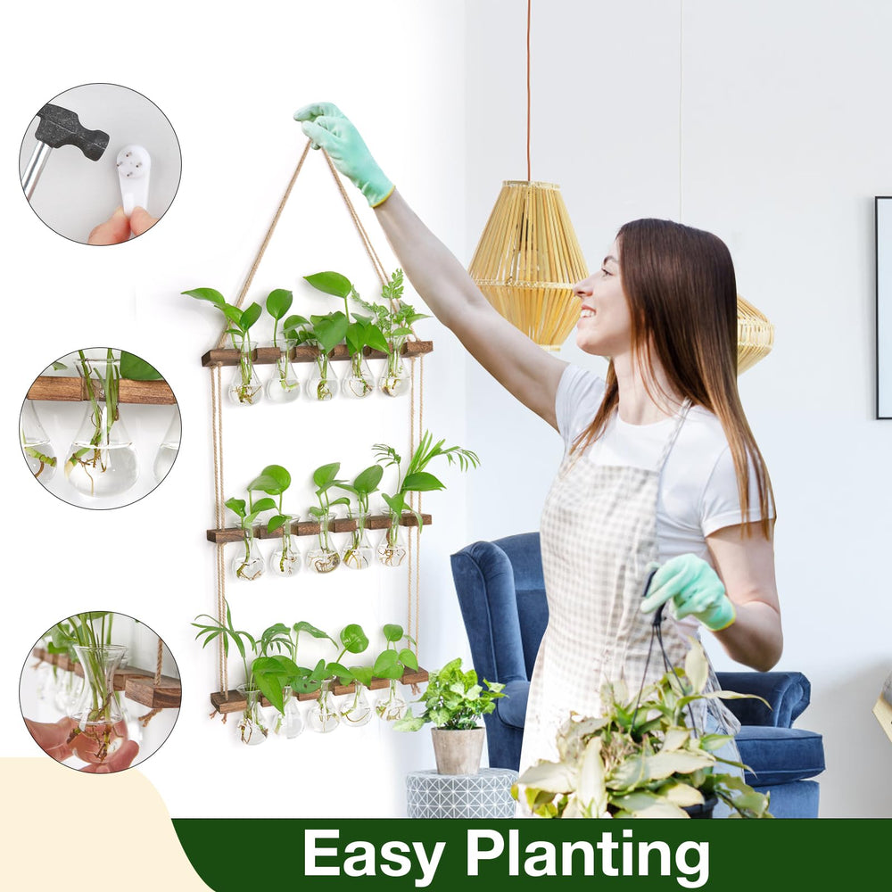 XXXFLOWER glass bulb with visible roots showing easy monitoring benefit