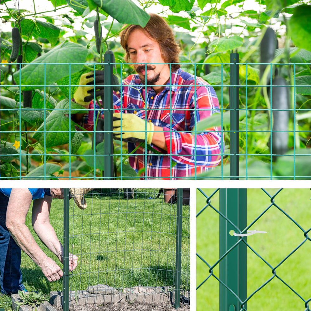 XYADX post in use with chicken wire protecting garden plants