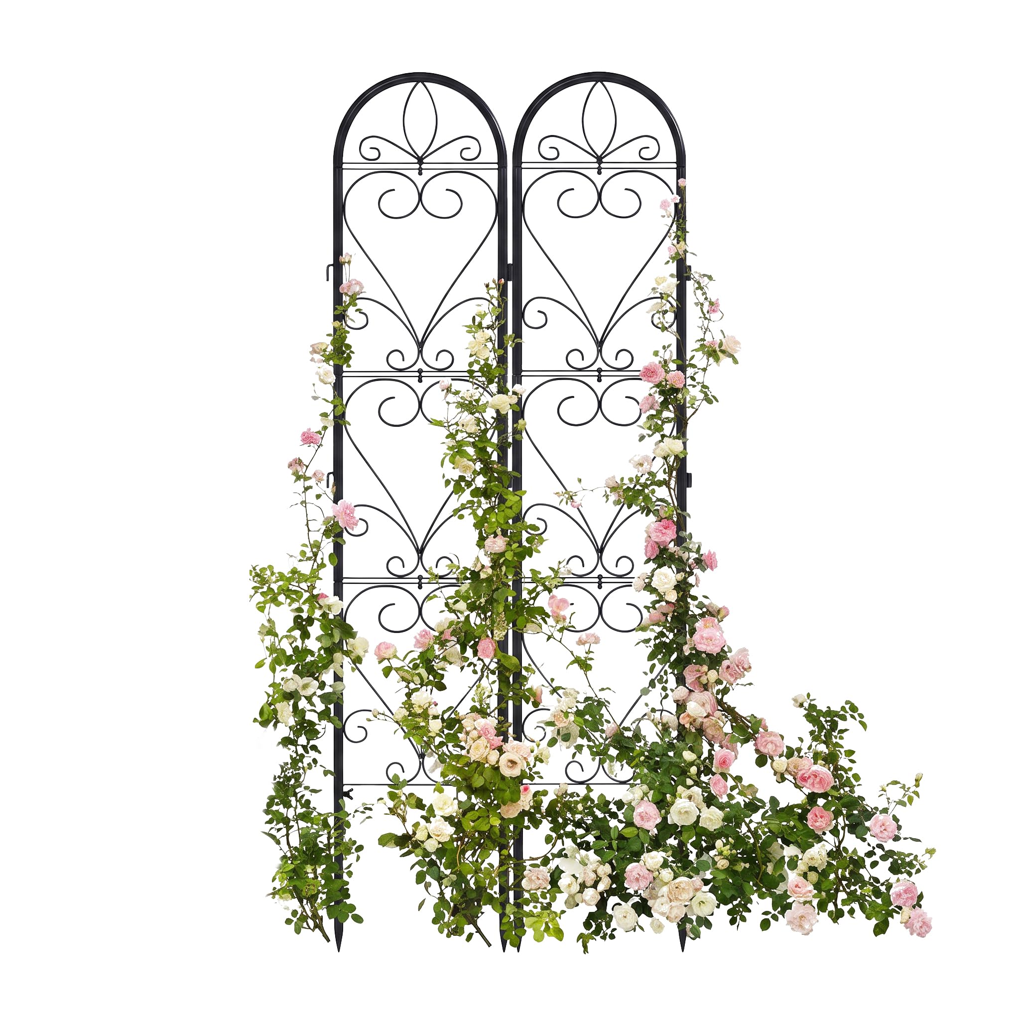 XYCCRX trellis front view showing full panel and decorative benefit