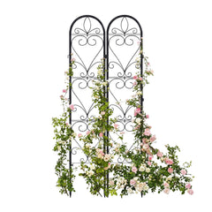 XYCCRX trellis front view showing full panel and decorative benefit