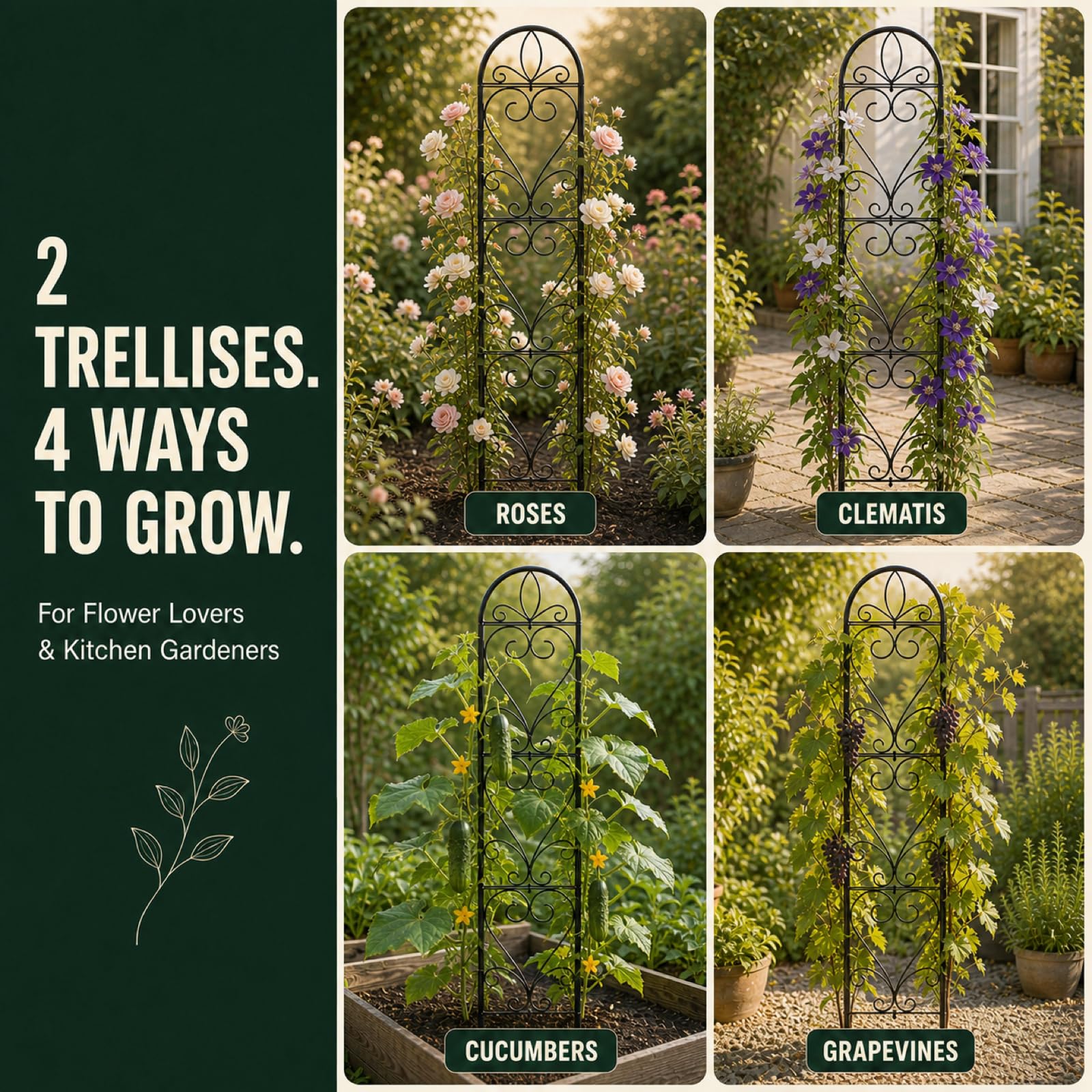 XYCCRX trellis next to ruler showing 66x13 inch scale benefit