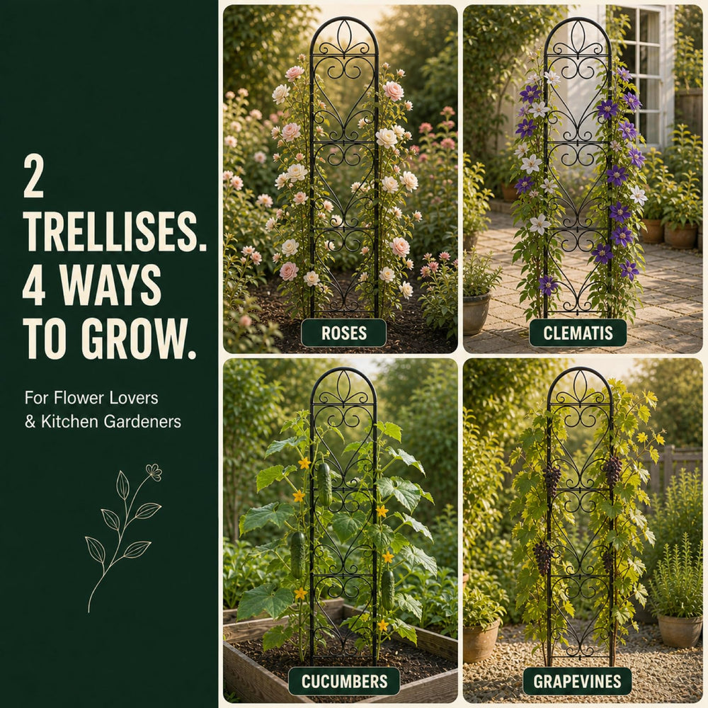 XYCCRX trellis next to ruler showing 66x13 inch scale benefit