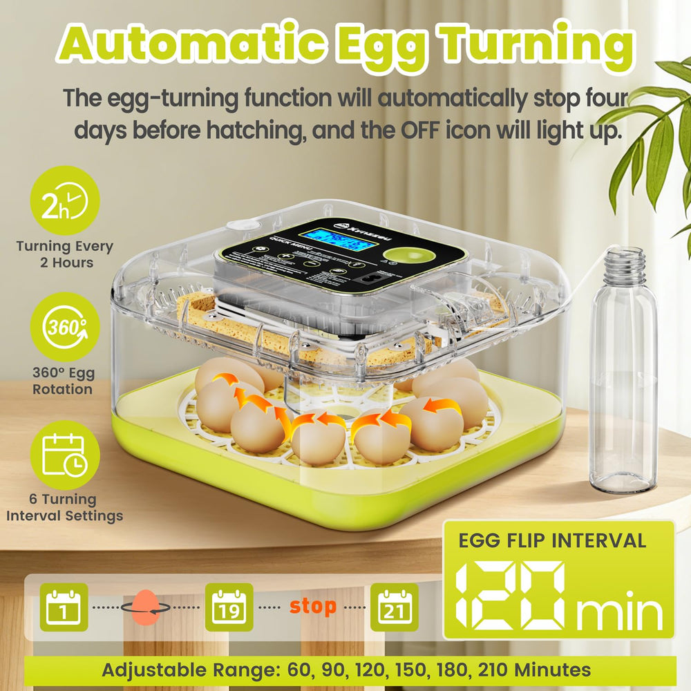 Xynzzeu LED egg candler illuminating an egg to monitor embryo growth
