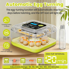 Xynzzeu LED egg candler illuminating an egg to monitor embryo growth