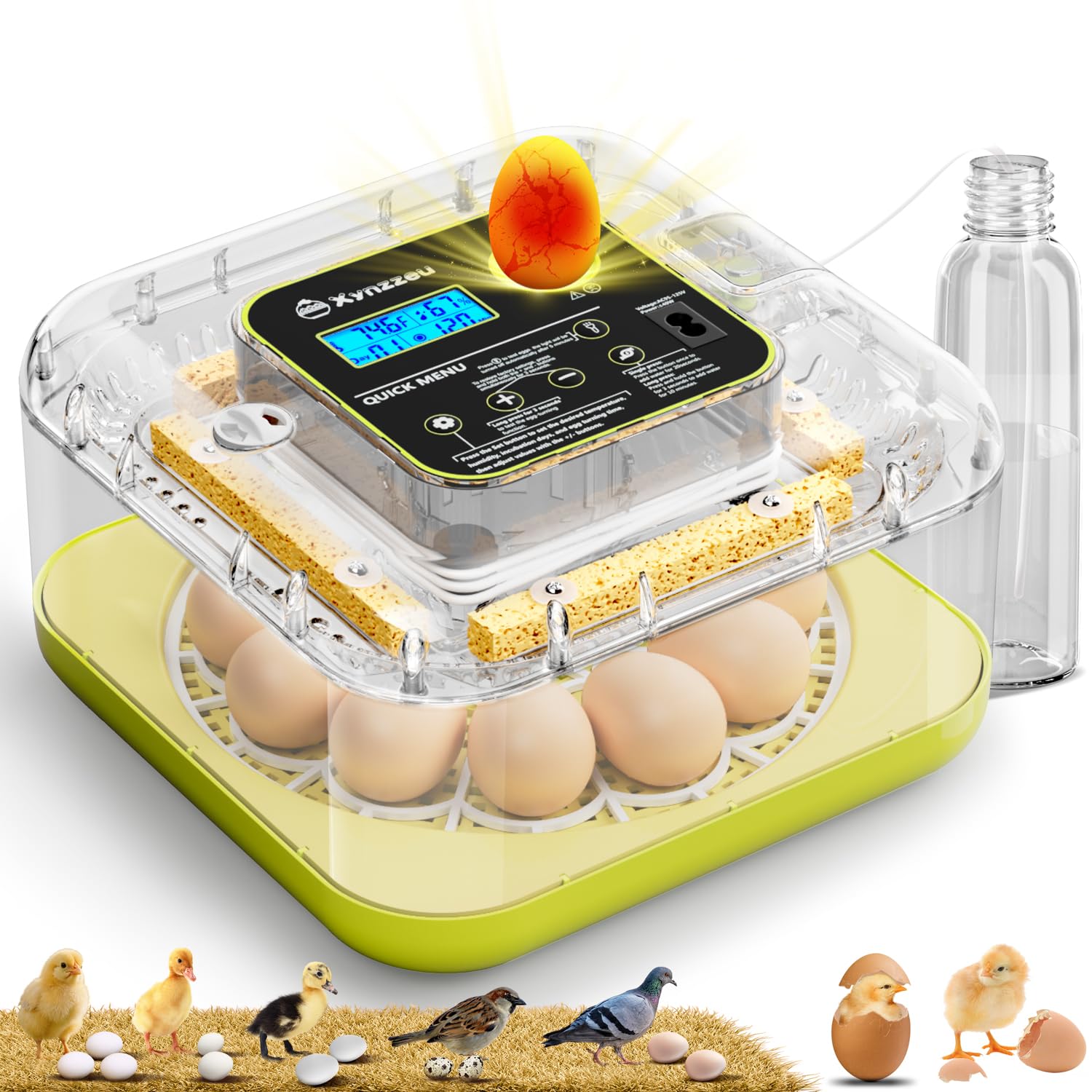 Xynzzeu front view showing incubator compact design and stable environment