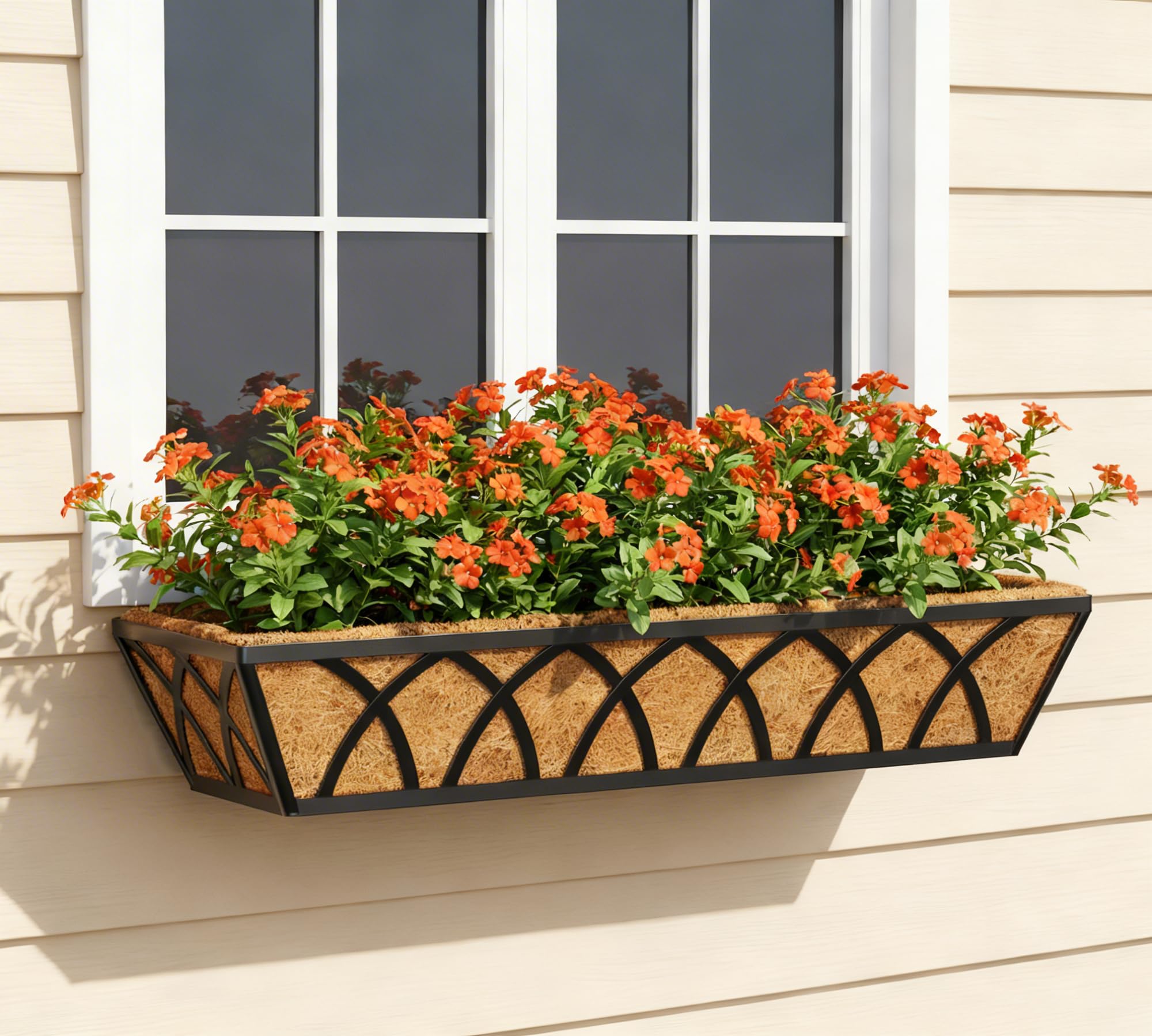 Y&M filled with petunias and herbs illustrating mixed-plant potential
