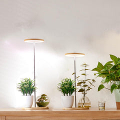yadoker bamboo mini LED grow light front view showing compact design and aesthetic benefit