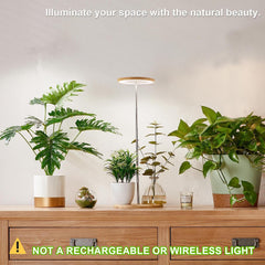 yadoker two-pack placed on desk showing multi-plant lighting and space-saving benefit