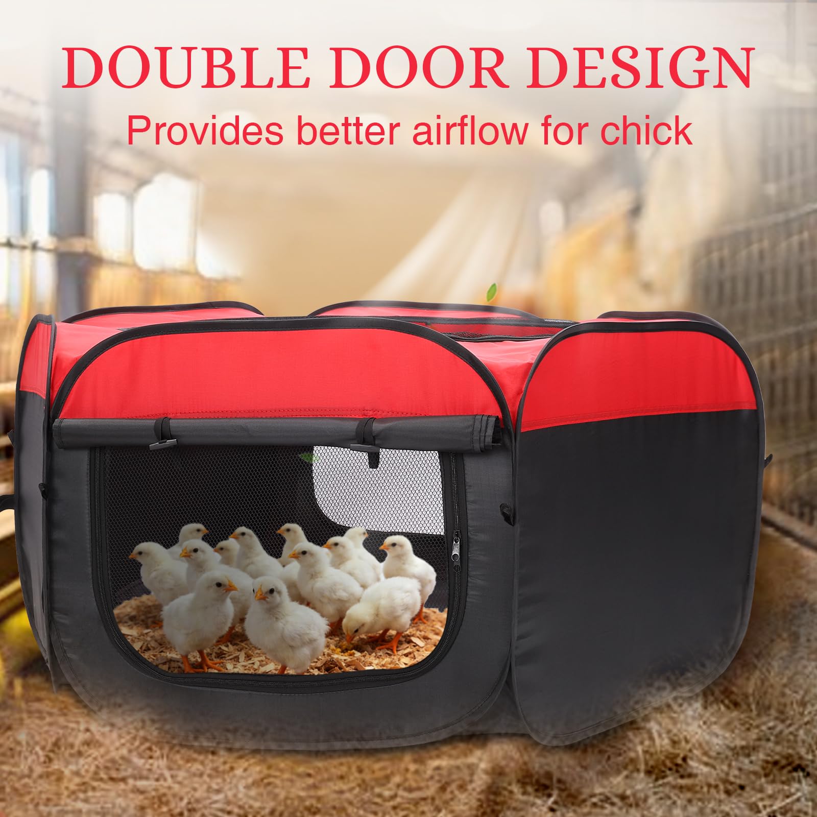 YAFF brooder with chicks for size comparison and capacity
