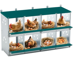 Yafylly front view of 8-compartment nesting box showing organized egg stations and easy access