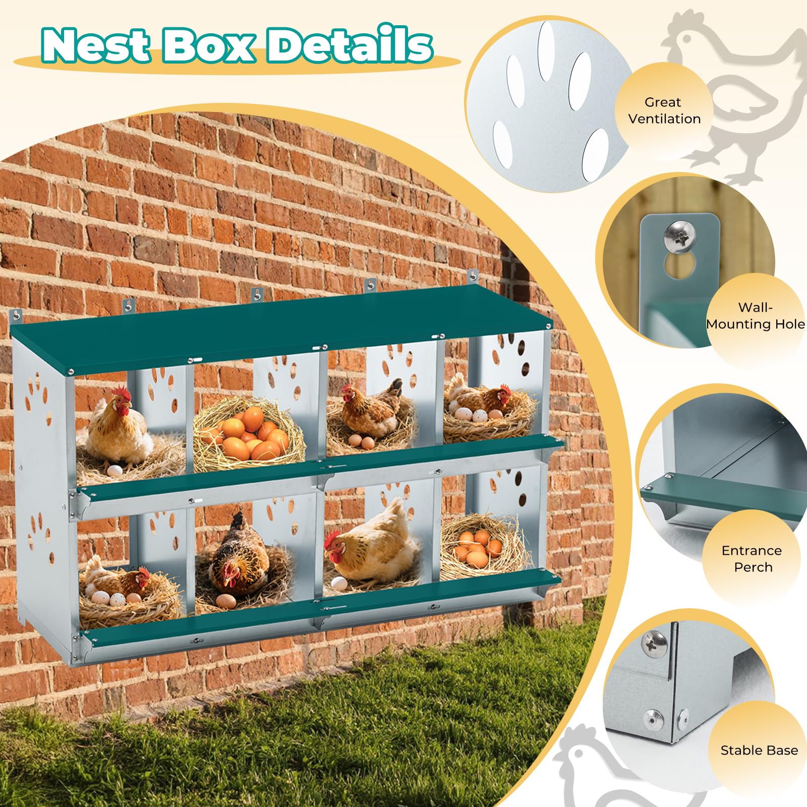 Yafylly next to a hen to show compartment size and practical scale for backyard flocks