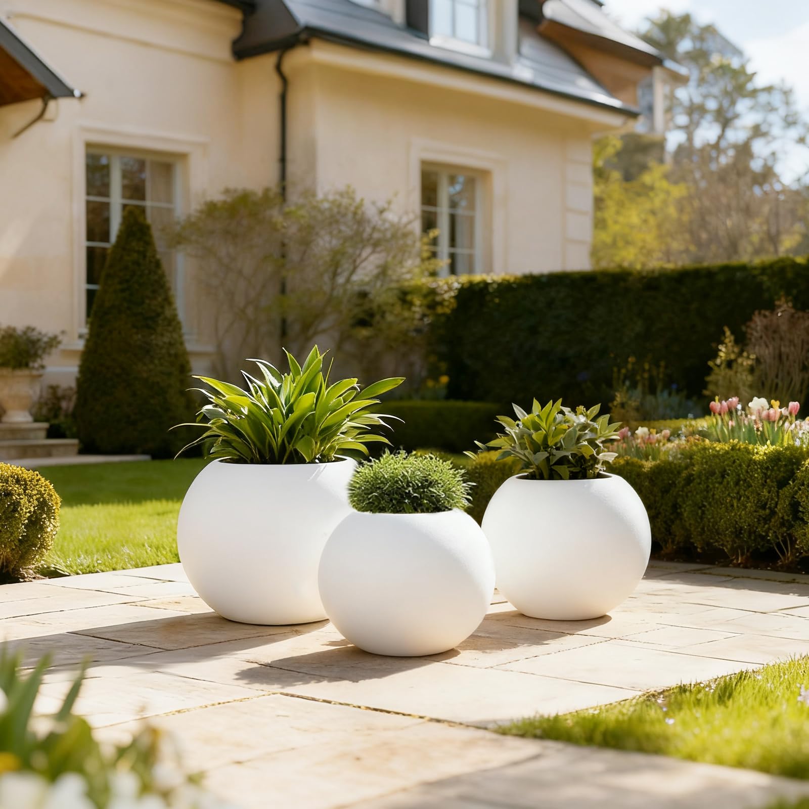 Yaghpy side profile sphere shape silhouette offering a minimalist look