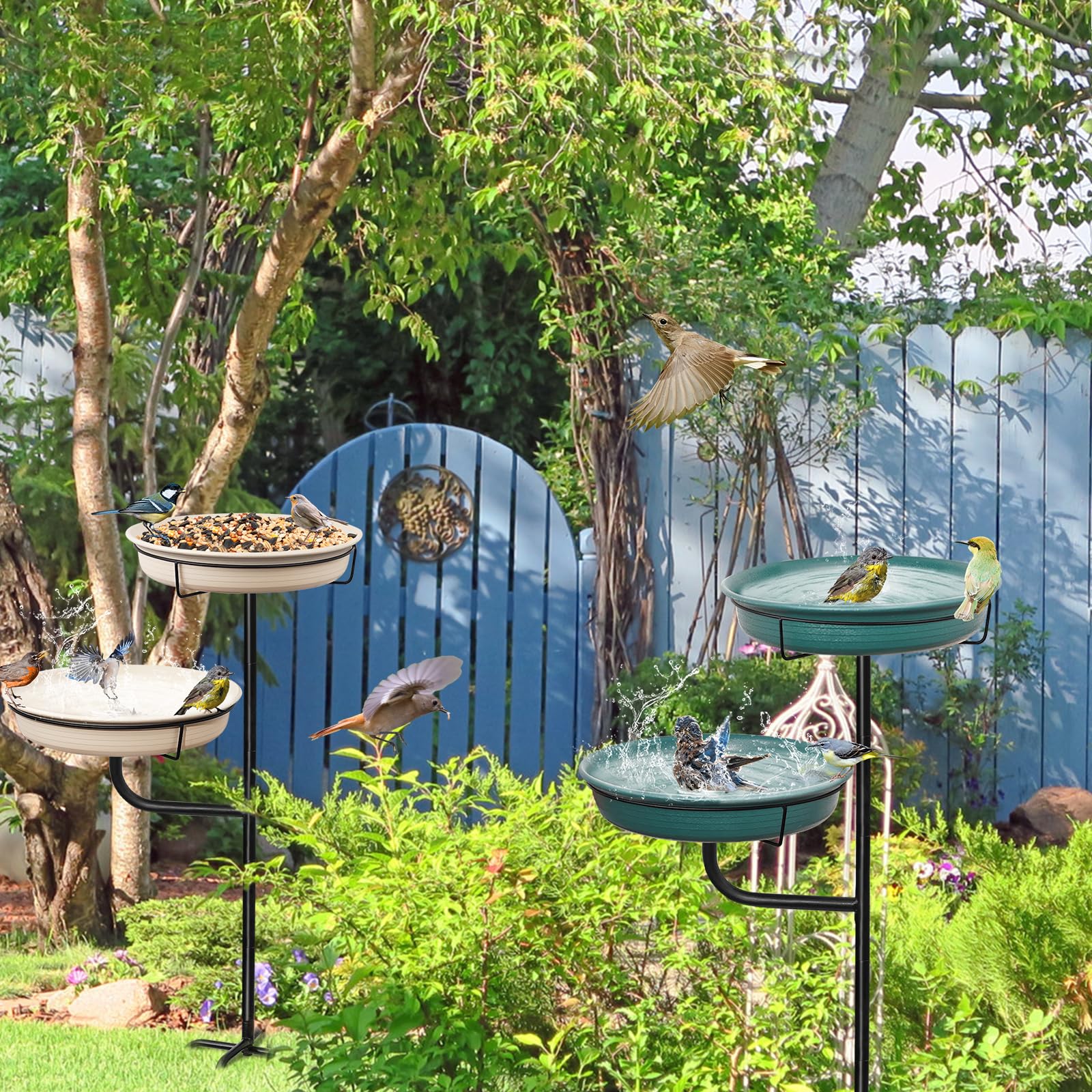 YALINKA small songbird using the bowl showing safe access and bird-friendly design