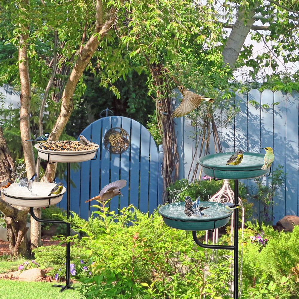 YALINKA small songbird using the bowl showing safe access and bird-friendly design