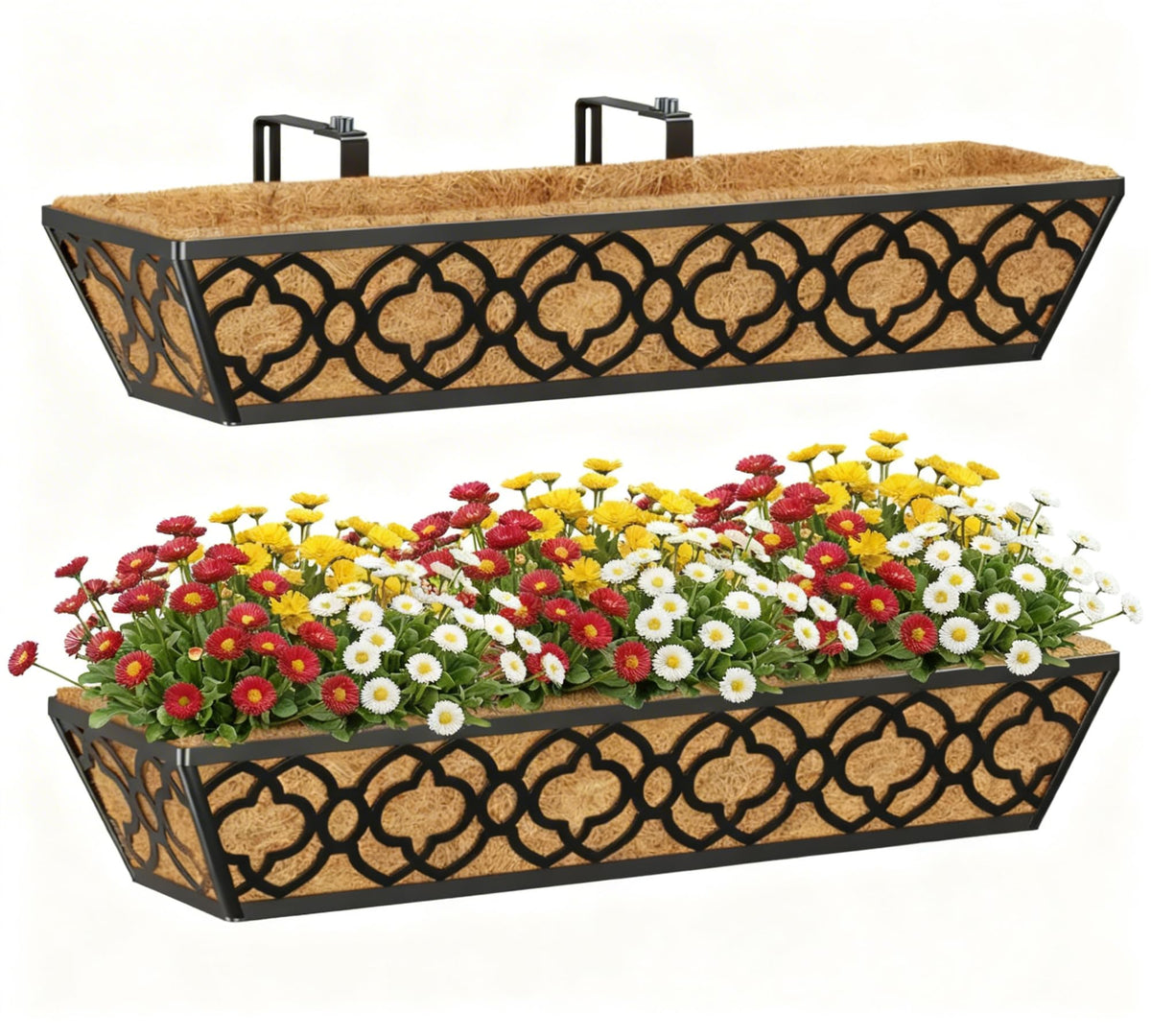 Y&M front view hanging planter showing sleek metal frame and clean lines for curb appeal