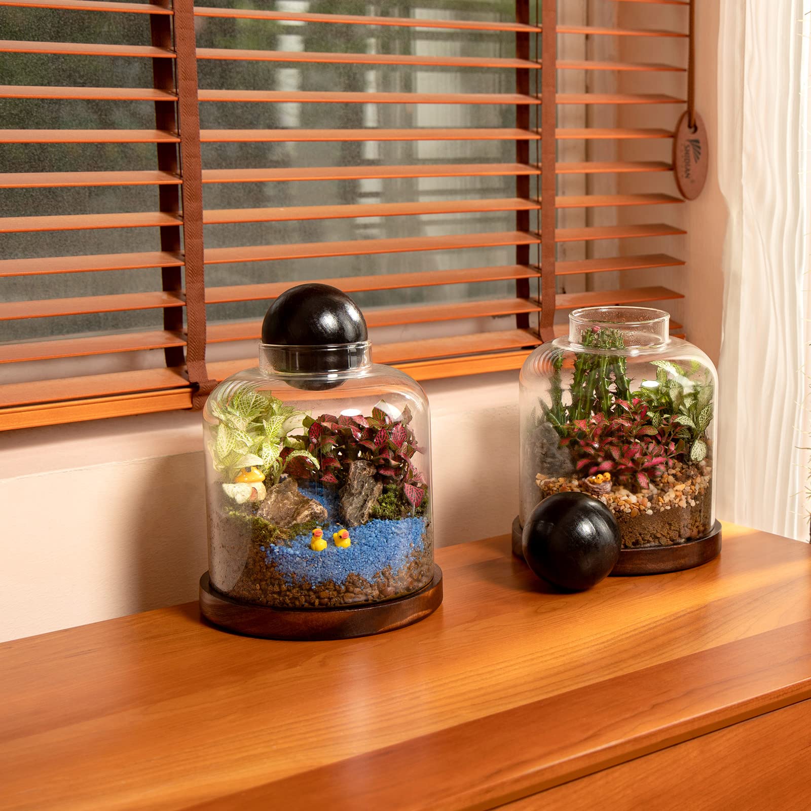 Yangbaga mini fish bowl setup illustrating clear viewing and calm ambiance