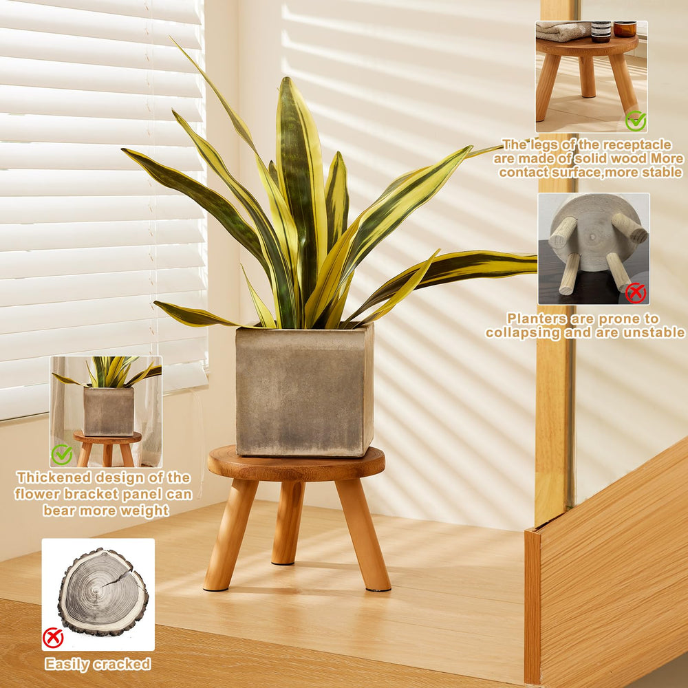 Yangbaga stand with potted plant in living room enhancing interior display