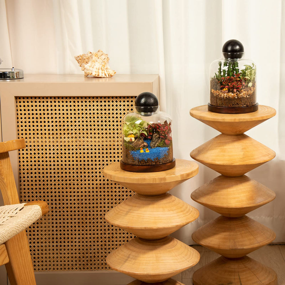 Yangbaga terrarium next to a notebook showing scale and tabletop fit