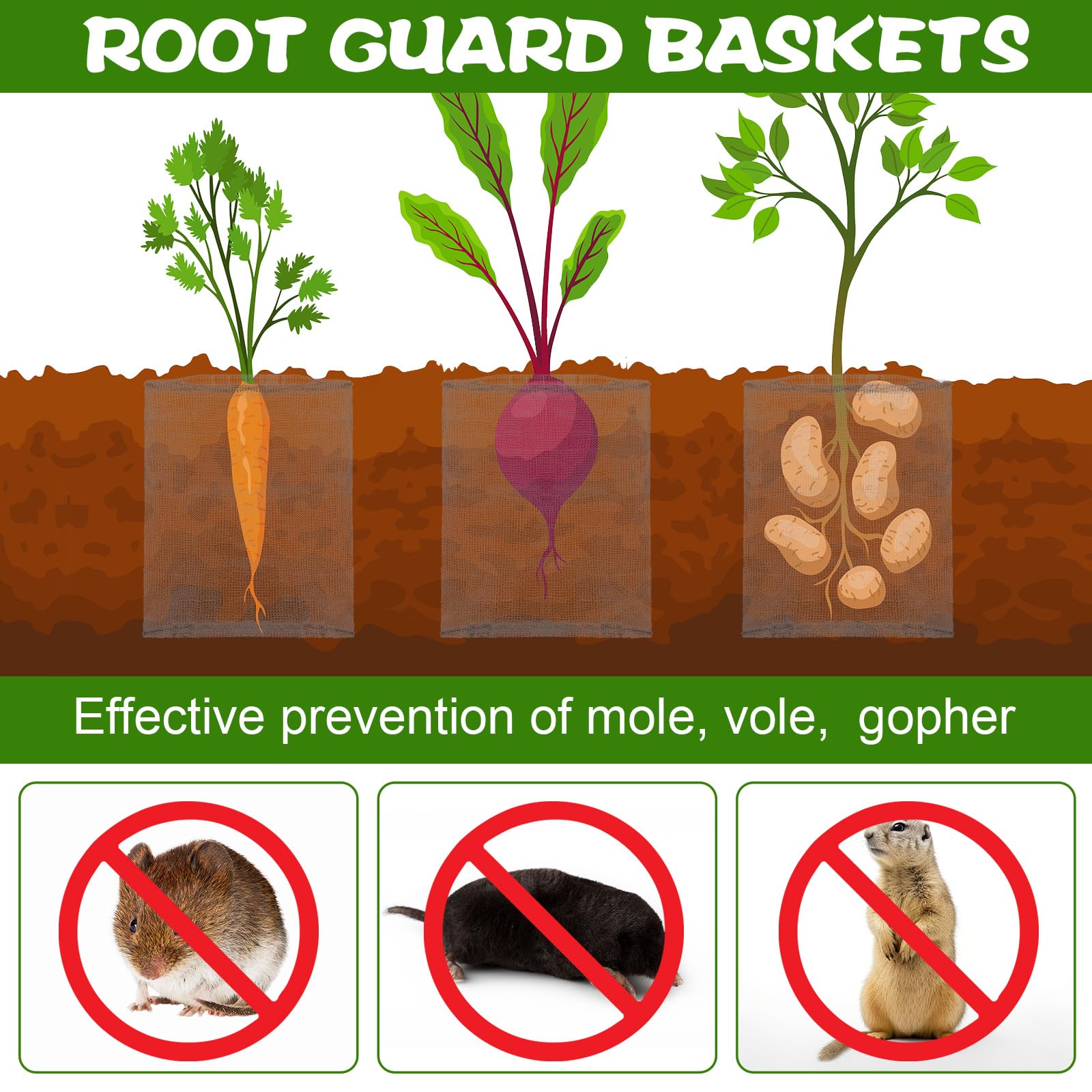 Yaocom buried basket installed in soil illustrating pest barrier benefit