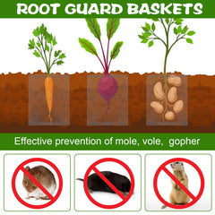 Yaocom buried basket installed in soil illustrating pest barrier benefit