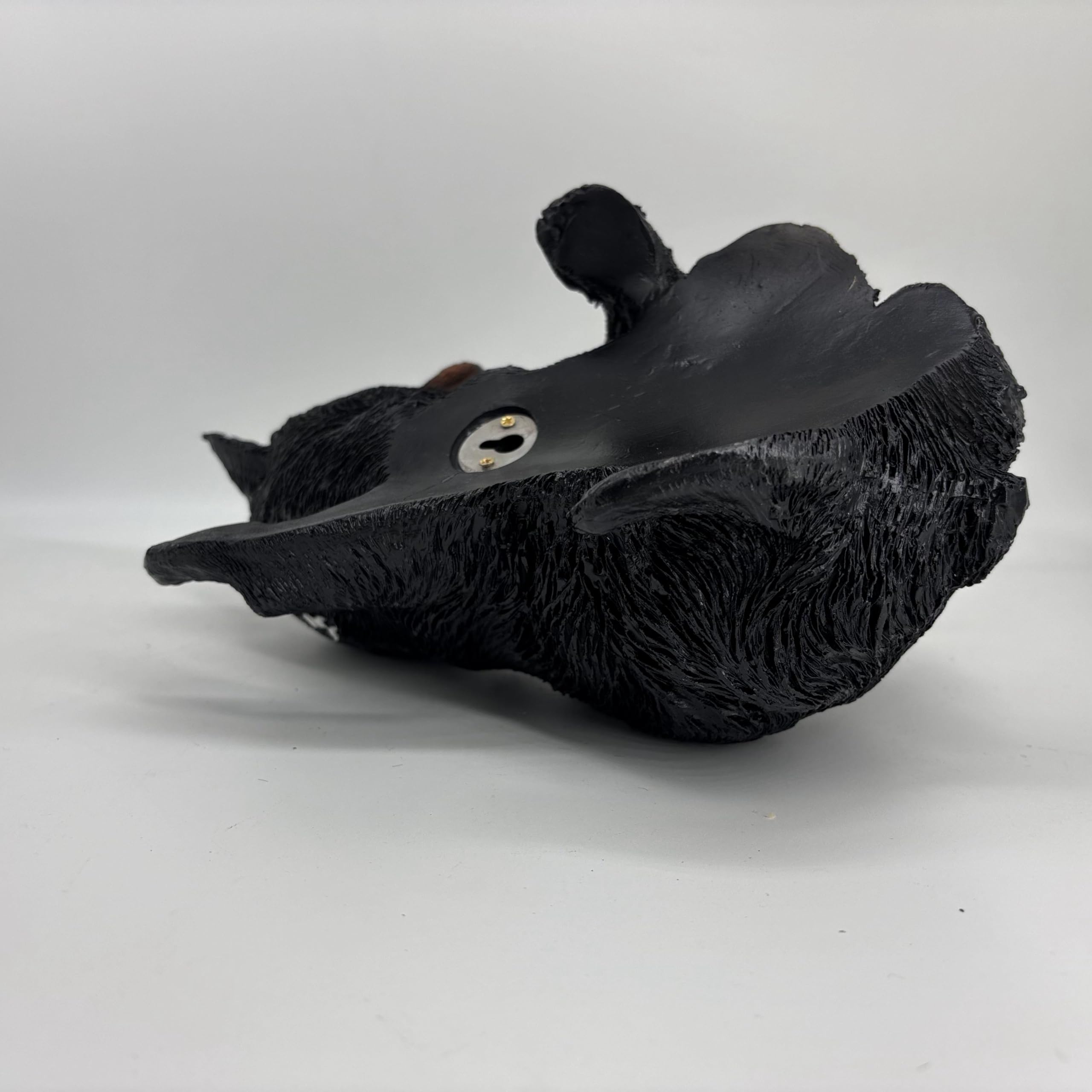 Yaoemei bear next to ruler for scale showing compact, versatile size