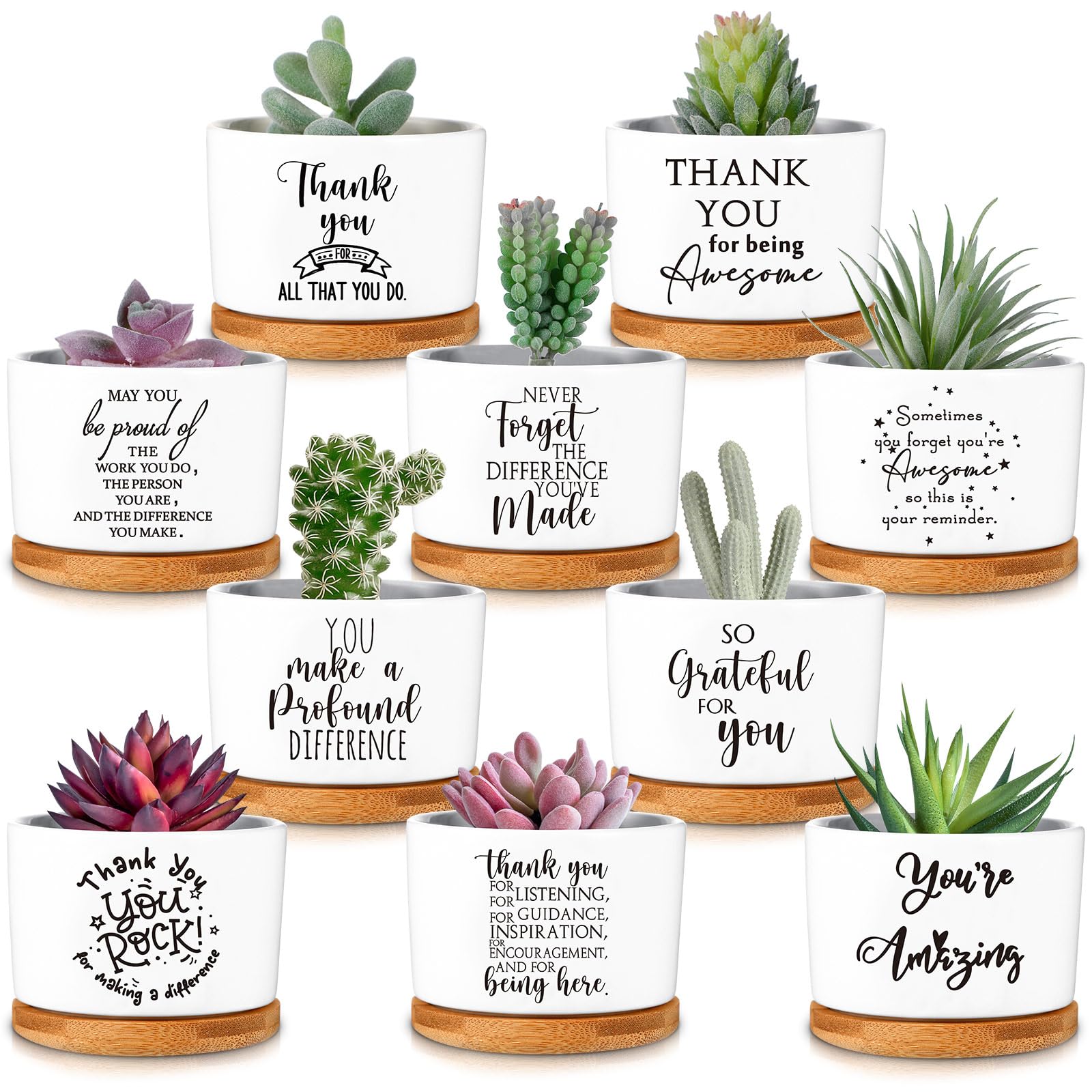 Yaomiao front packaging showing ten ceramic pots and bamboo trays for easy gifting
