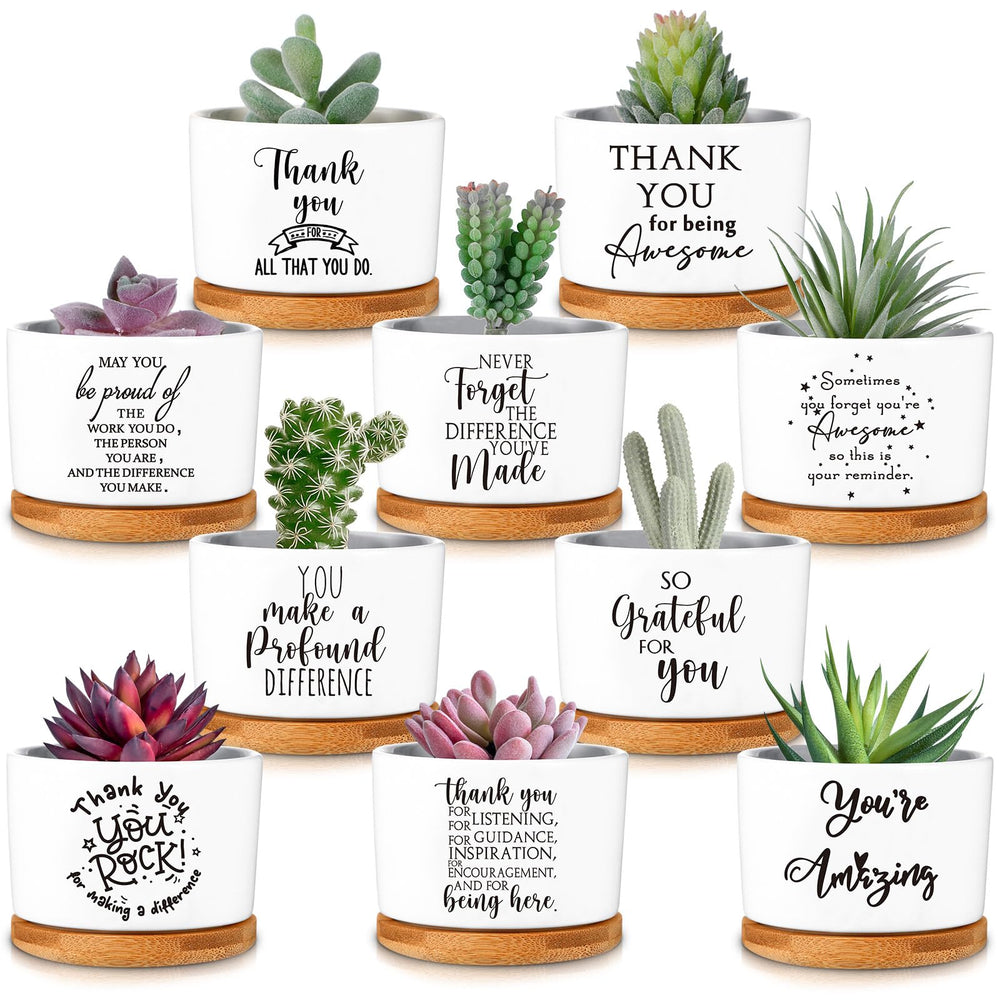 Yaomiao front packaging showing ten ceramic pots and bamboo trays for easy gifting