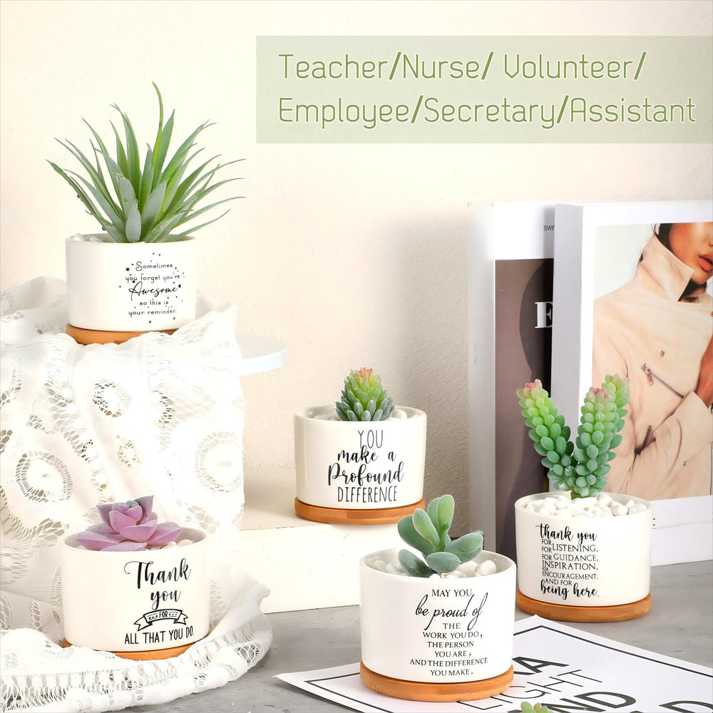 Yaomiao succulents installed demonstrating ready-to-display small plant gift