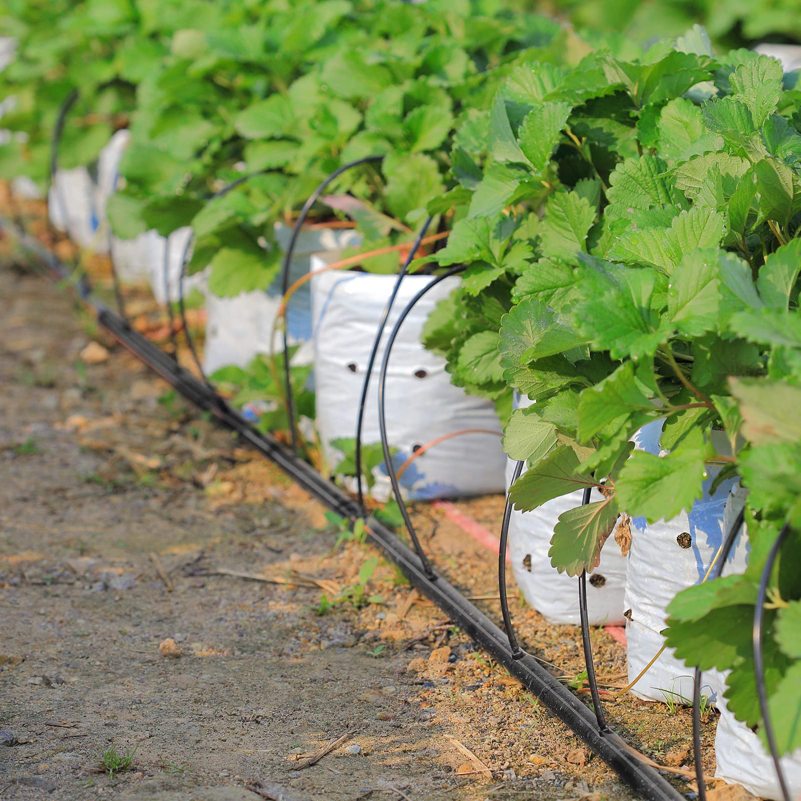 Yaomiao tubing partially buried under mulch showing in-ground durability and neat landscaping benefit
