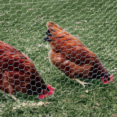 YARDGARD installed on chicken coop perimeter, secures poultry and keeps predators out