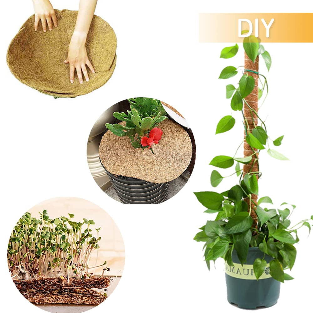 Yarrdfir hanging basket lined with coir liner demonstrating neat plant support benefit