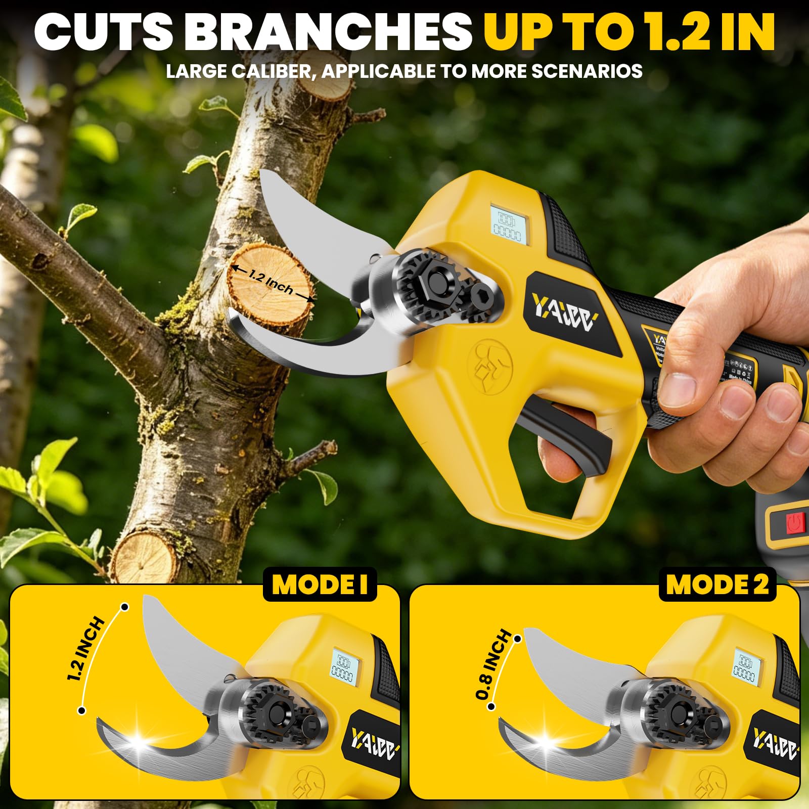 Gardener using YAWV pole pruner to trim high limb without ladder, extended reach and safety