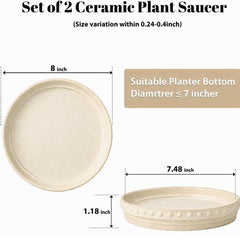 YBX YIBOXUAN side profile showing saucer height and stable rim benefit