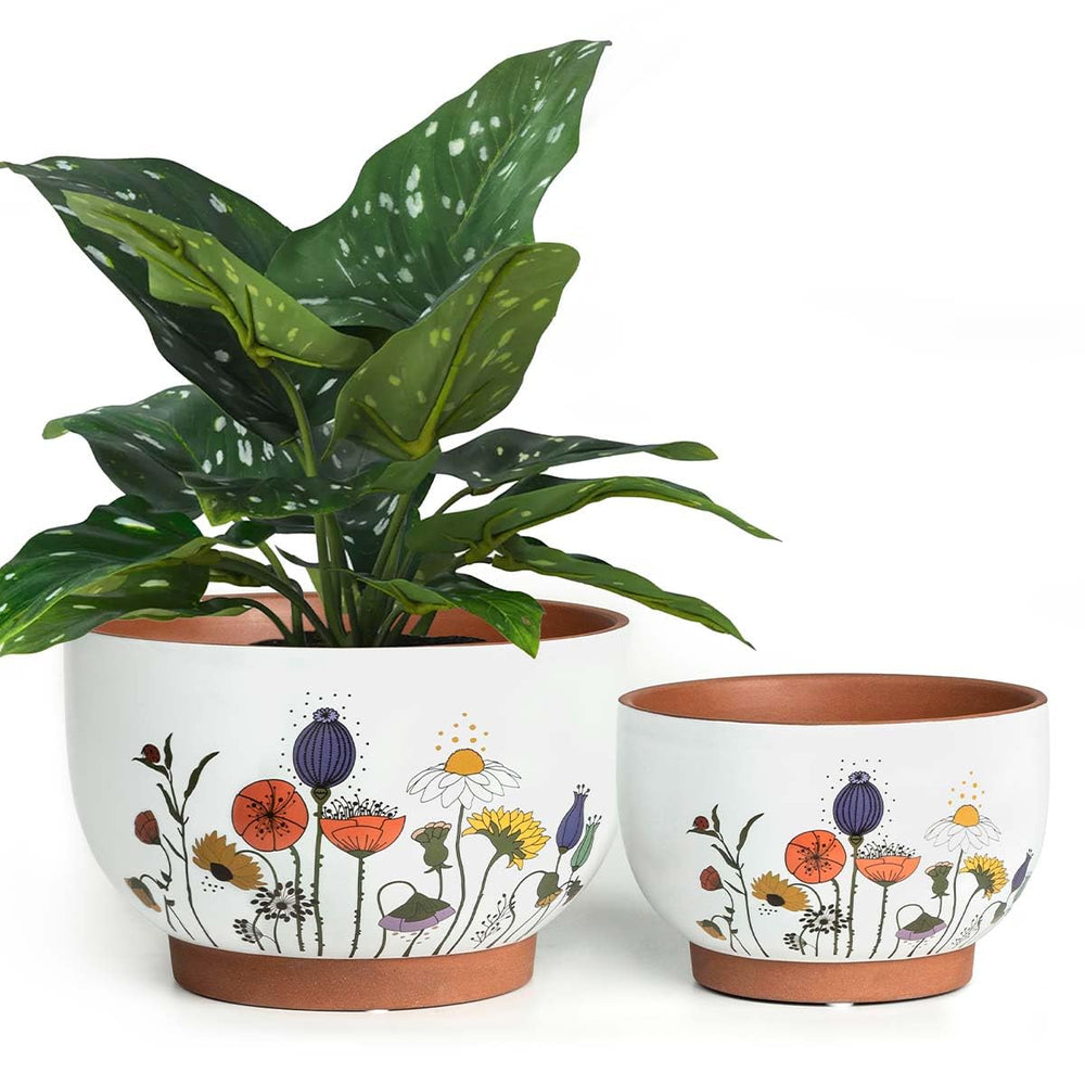 YBX YIBOXUAN front view showing two terracotta pots for stylish display