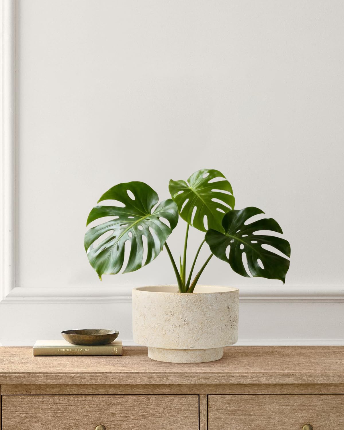 YBX YIBOXUAN planters on a windowsill showing light and decorative placement benefit
