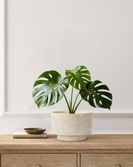 YBX YIBOXUAN planters on a windowsill showing light and decorative placement benefit