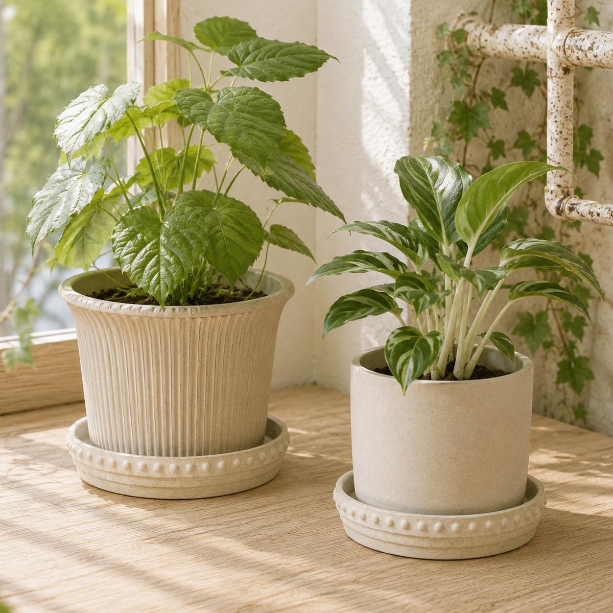 YBX YIBOXUAN saucer on styled shelf enhancing decor and keeping area tidy